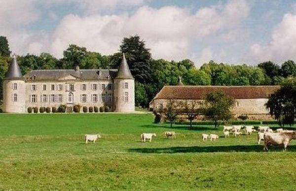 Chateau De Beaujeu Sens-Beaujeu Exteriér fotografie