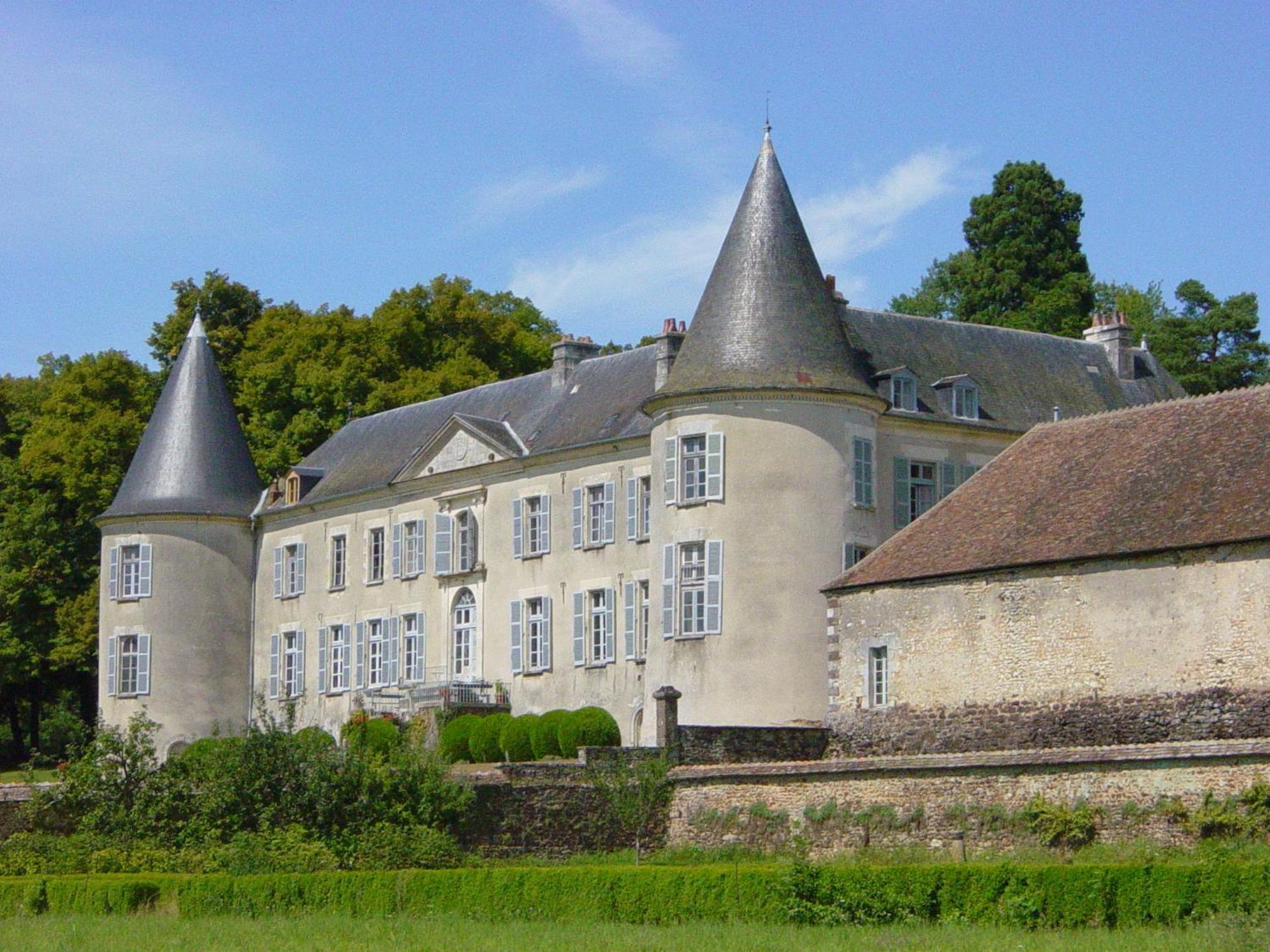 Chateau De Beaujeu Sens-Beaujeu Exteriér fotografie