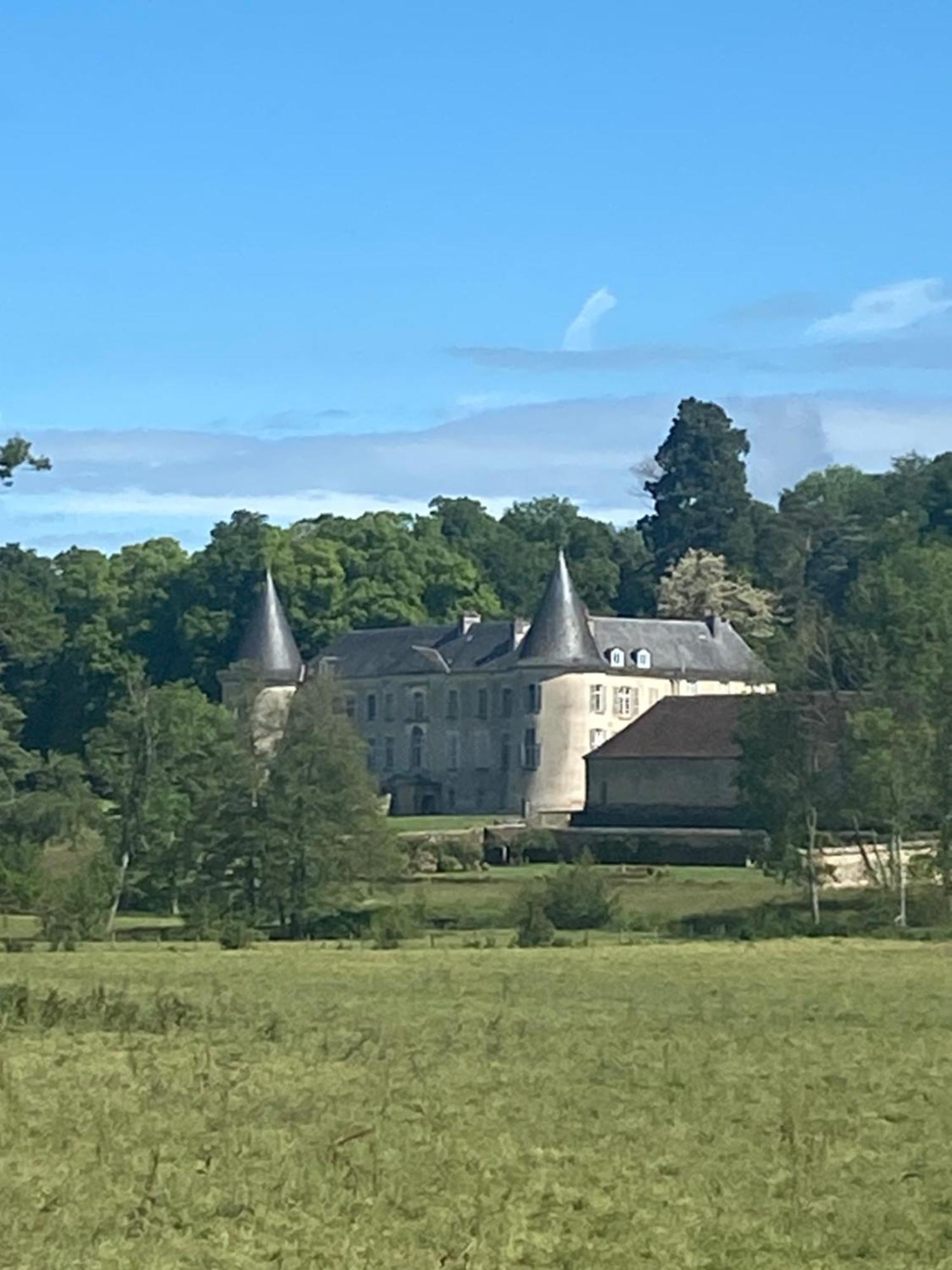 Chateau De Beaujeu Sens-Beaujeu Exteriér fotografie